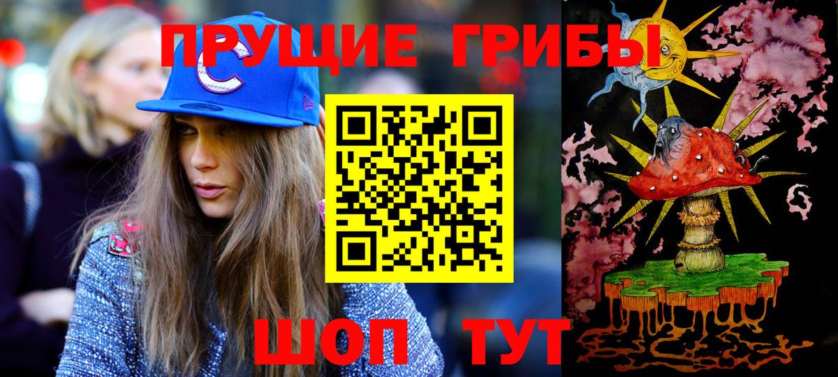 Псилоцибиновые грибы GOLDEN TEACHER Буйнакск