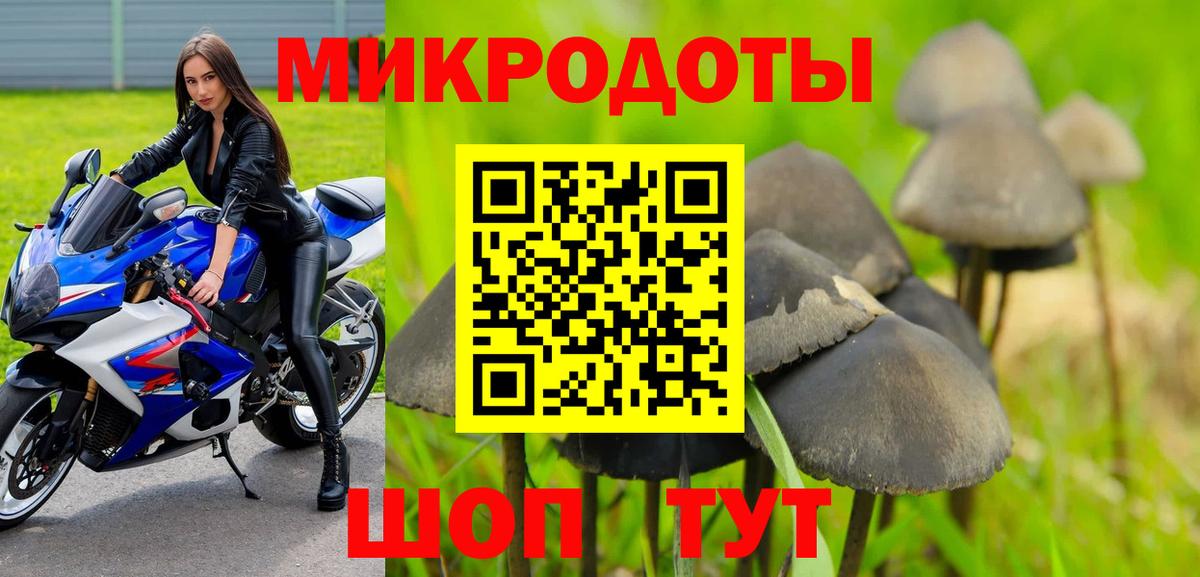Буйнакск  Псилоцибиновые грибы Psilocybine cubensis  Вход с VPN  Псилоцибиновые грибы мицелий 